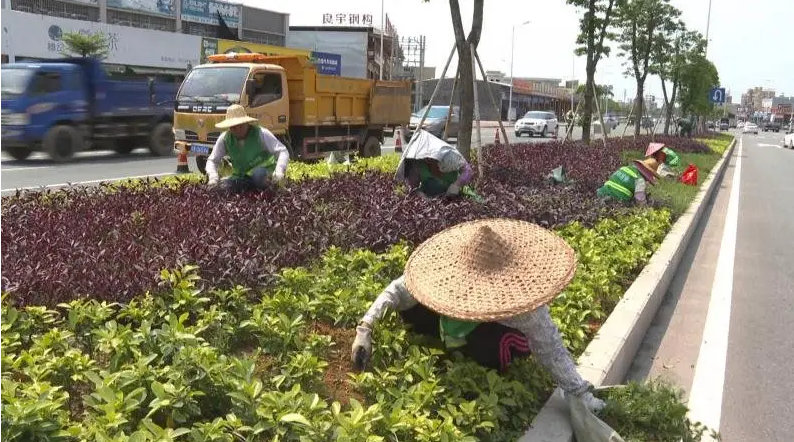綠化養護